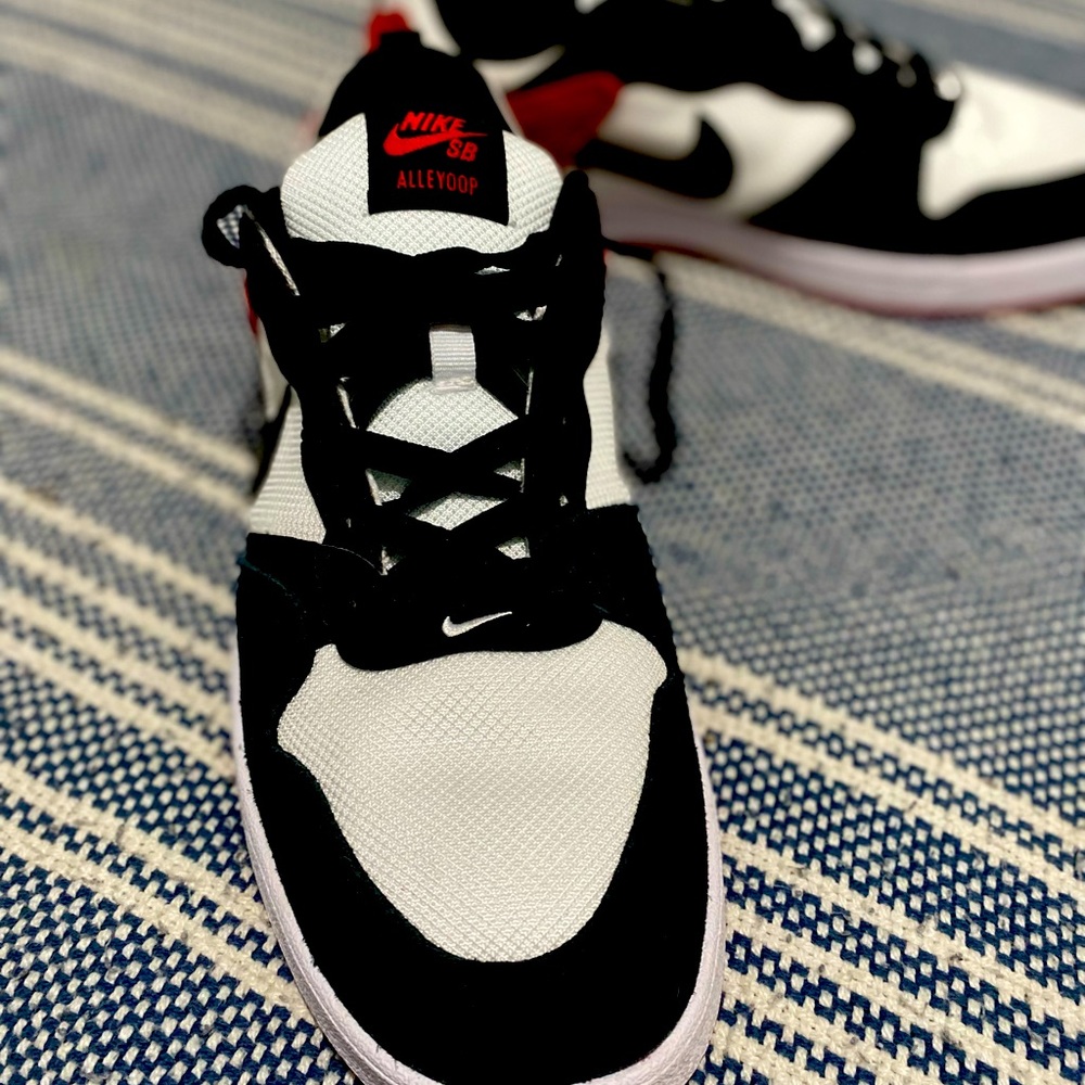 SB Nike dunks